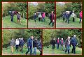 MG Herfstwandeling op 18-10-2015, org. Judith & Monke Menten (20)